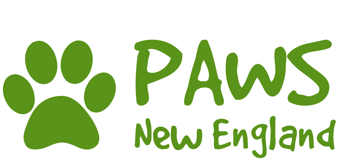 PAWS New England Giving Tuesday Fundraiser